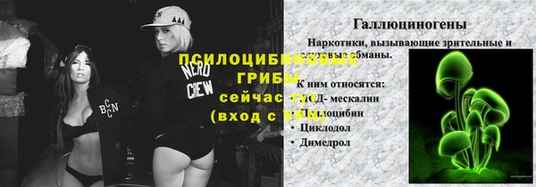 герыч Дмитриев