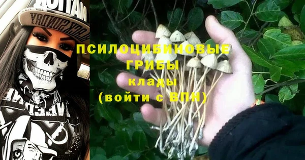 не бодяженный Дмитровск