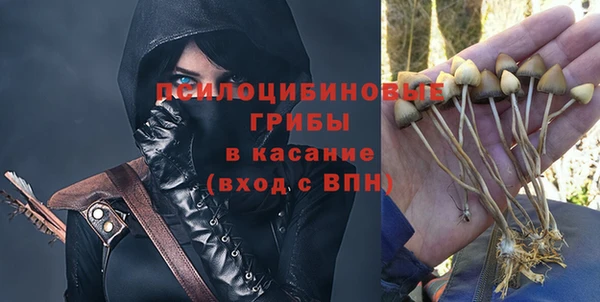 не бодяженный Дмитровск