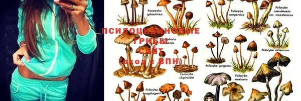 скорость Дмитров