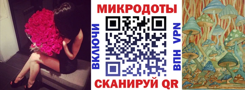 Купить  Дубна  Галлюциногенные грибы Magic Shrooms 
